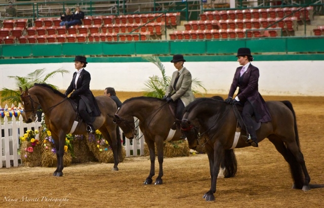 2013 Raleigh Spring Premier