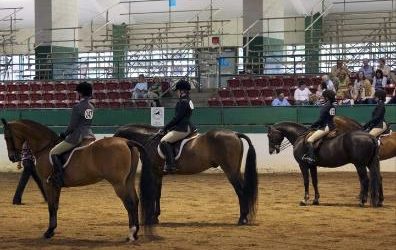 2010-2012 VCMHC Members And Their Morgans